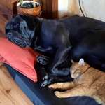 Ersteller:in Melanie Profilbild