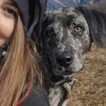 Ersteller:in Steffi Profilbild