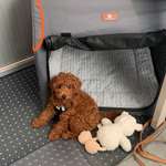 Ersteller:in Jacqueline Profilbild