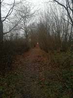 Hundeauslaufgebiet-Meiendorfer Straße-Bild