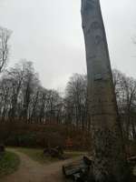 Hundeauslaufgebiet-Volksdorfer Wald/Mellenberg-Bild