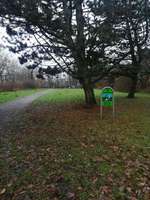 Hundeauslaufgebiet-Westlich Hellmesbergerweg-Bild