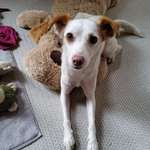 Ersteller:in Sabine Profilbild