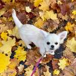 Ersteller:in Ana Profilbild