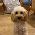 Ersteller:in Linda Profilbild