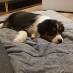 Ersteller:in black Profilbild