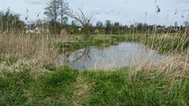 Hundeauslaufgebiet-Hainhofen-Ottmarshausen-Bild