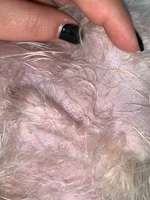 Medizinische Frage-Beitrag-Bild