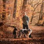 Ersteller:in Maj Profilbild