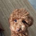 Ersteller:in Natalya Profilbild