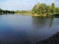 Hundeauslaufgebiet-Baggersee Hockenheim-Bild