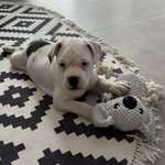 Ersteller:in Su Profilbild