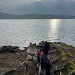 Ersteller:in Frederik Profilbild