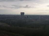 Hundeauslaufgebiet-Halde kissingerhöhe-Bild