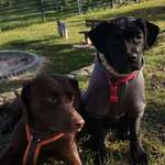 Ersteller:in Tom Profilbild