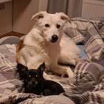 Ersteller:in Mandy Profilbild