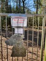 Hundeauslaufgebiet-Hundewald Christianslust-Bild