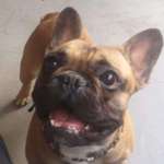 Ersteller:in Tiziana Profilbild