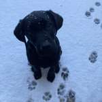 Ersteller:in Jessi Profilbild