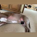 Ausschlag / allergische Reaktion-Beitrag-Bild