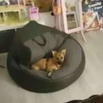 Ersteller:in Jenny Profilbild