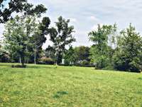 Hundeauslaufgebiet-Löwenhainer Straße-Bild