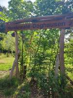 Hundeauslaufgebiet-Doghausen-Bild