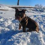 Ersteller:in Kristina Profilbild