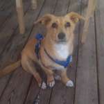 Ersteller:in Ronja Profilbild