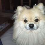 Ersteller:in Zvezdana Profilbild