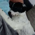 Ersteller:in Sandra Profilbild