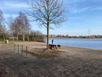 Hundeauslaufgebiet-Timmeler Meer-Bild