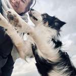 Ersteller:in Rike Profilbild