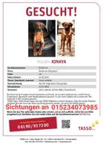 Suchmeldung-Kaia (Kinaya)-Bild