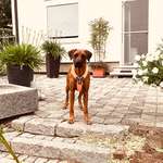 Suchmeldung-Kaia (Kinaya)-Bild