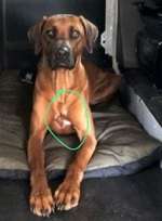 Suchmeldung-Kaia (Kinaya)-Bild