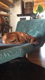 Suchmeldung-Kaia (Kinaya)-Bild