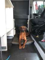 Suchmeldung-Kaia (Kinaya)-Bild