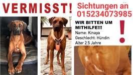 Suchmeldung-Kaia (Kinaya)-Bild