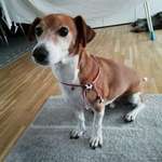 Ersteller:in Christin Profilbild