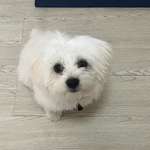 Ersteller:in Anna Profilbild