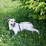 Ersteller:in Kati Profilbild