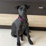 Ersteller:in Bianca Profilbild