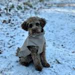 Ersteller:in Lea Profilbild