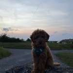 Ersteller:in Bella Profilbild