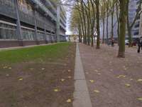 Hundeauslaufgebiet-Neustädter Neuer Weg-Bild