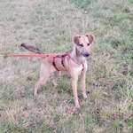 Ersteller:in Nicole Profilbild