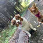 Ersteller:in Vincent Profilbild