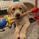 Ersteller:in Claudia Profilbild