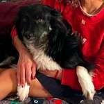 Suchmeldung-Brenda-Bild